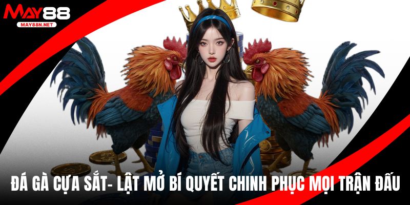 Đá gà cựa sắt