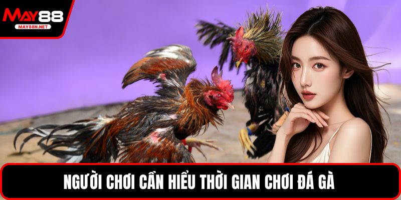 Người chơi cần hiểu thời gian chơi đá gà